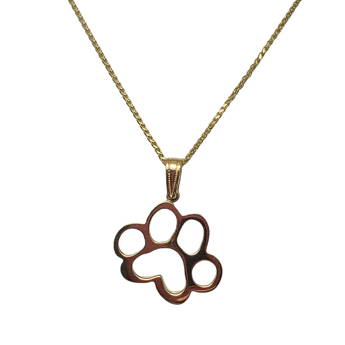 Silver Circle with Paw Print Necklace | Paws Into Grace